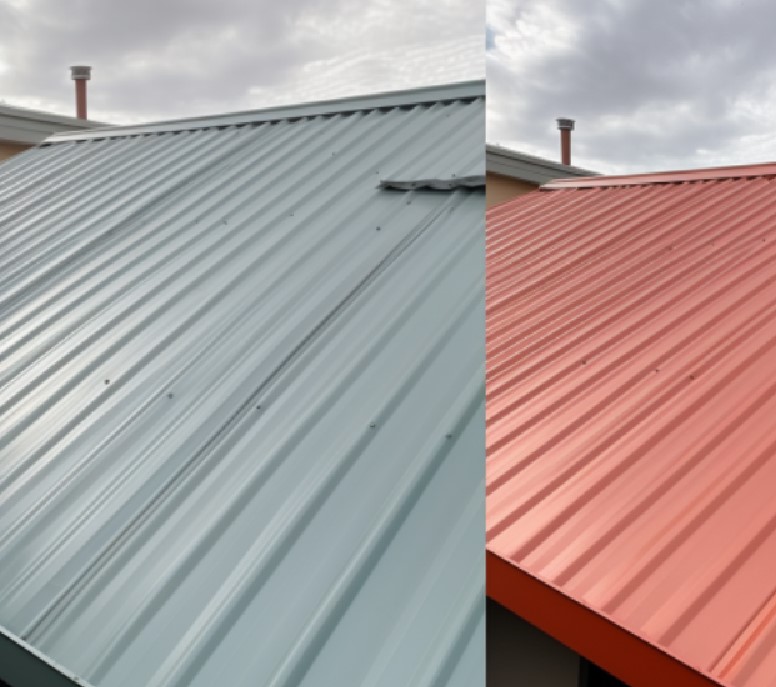 roof painting example