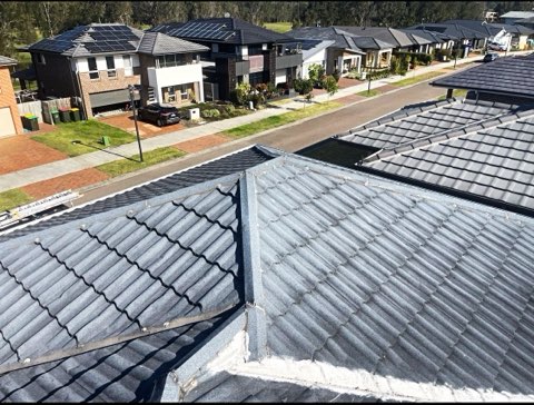 Democrastic Roof