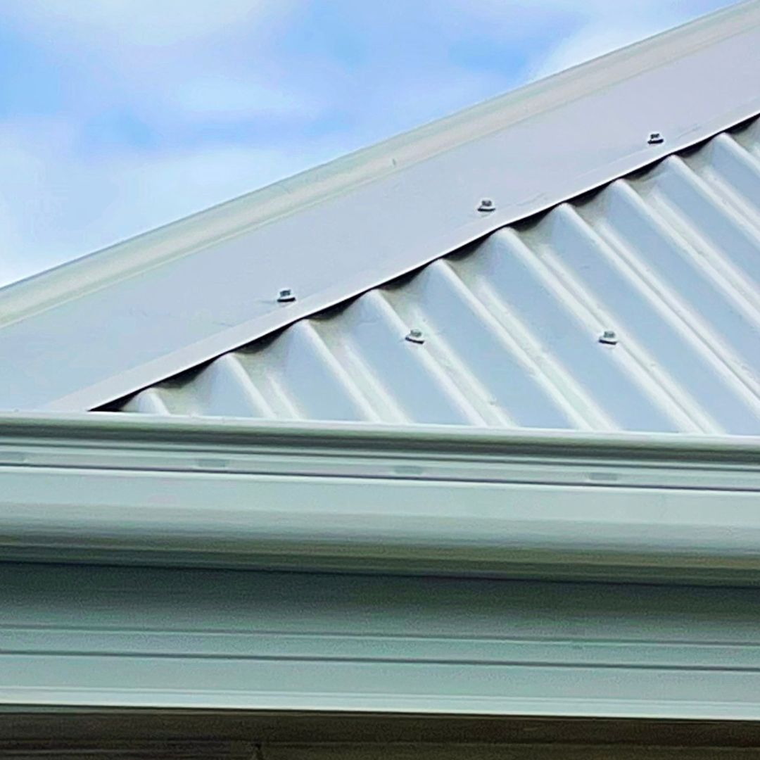 Fascia(1)